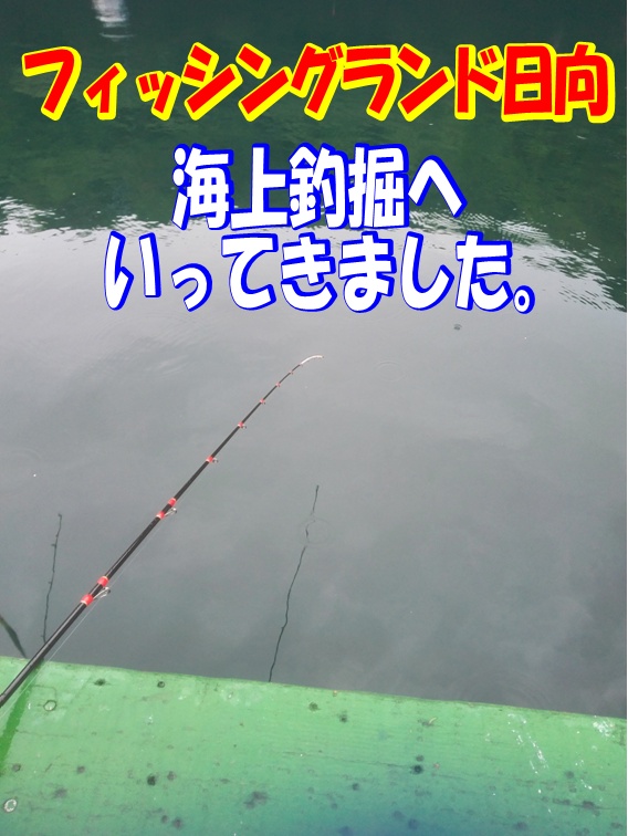 サクラ高級釣具　稲妻魂喰わせ　2,4M 別作稲妻魂喰わせ竿 - 櫻井釣漁具株式会社