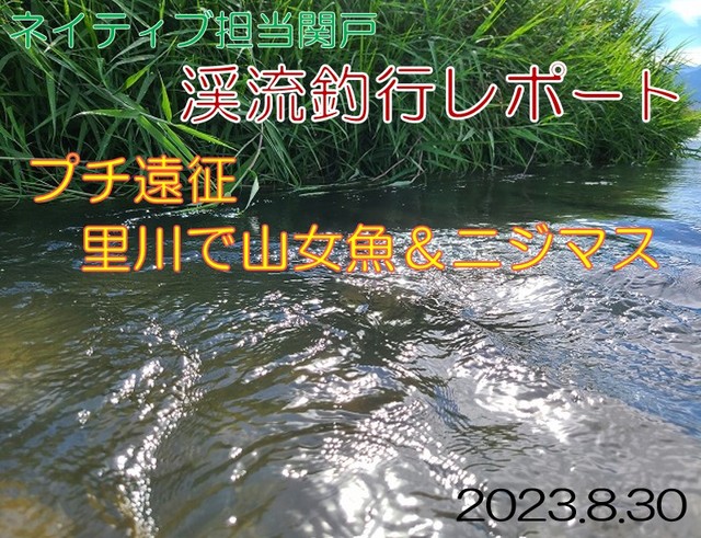 \"本日限定値下げ\"ブラキストン　BKT-500L（スピニングモデル） 本日限定値下げ ブラキストン BKT-500L（スピニングモデル）