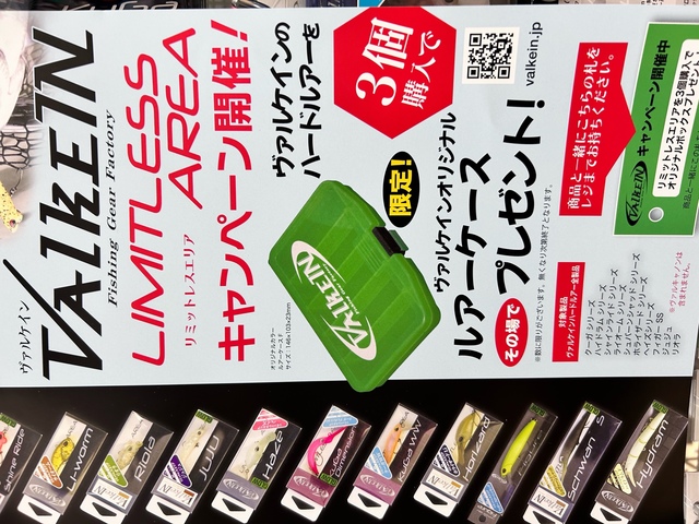ヴァルケイン　プラグセット Amazon | ヴァルケイン(Valkein) ワレットスターターセット