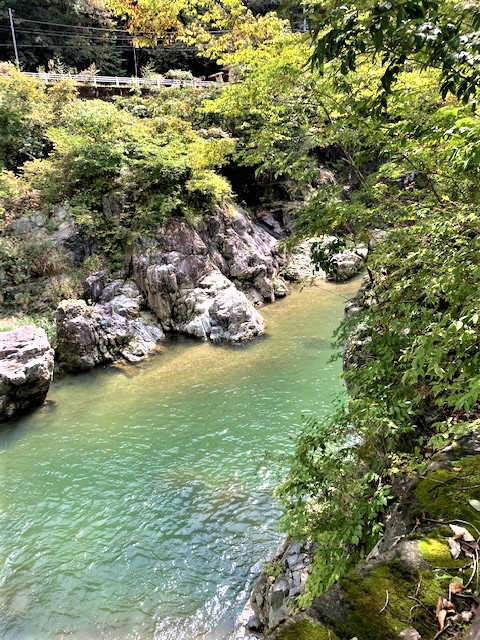 釣り　川　湖沼 hq720.jpg?sqp=-
