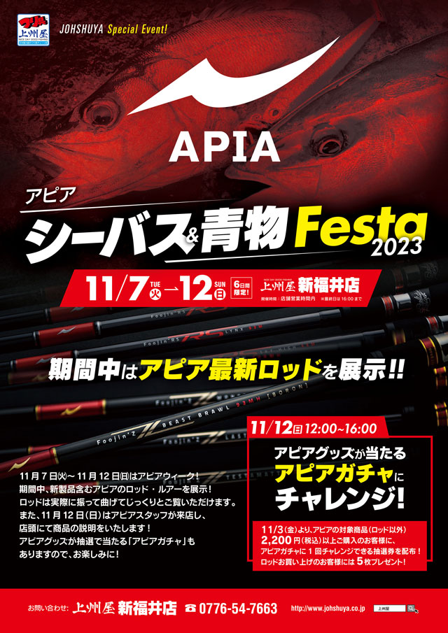 Apiaアピア 釣竿 シーバス 3本セット