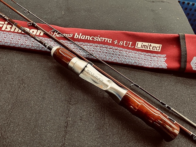 31800円でいかかでしょうかFishman Beams blancsierra 4.8UL