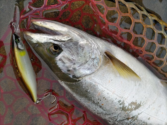 つり具の上州屋 - あなたのフィッシング＆アウトドアライフを