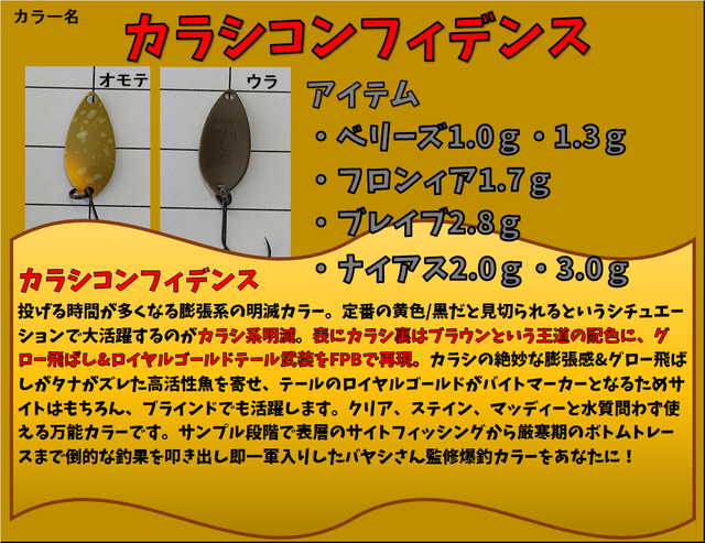 バヤシコンフィデンス
