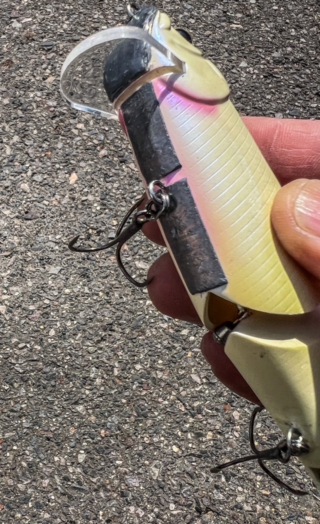 ビッグベイト セット アブ SSSKDBL40G-PGL スキッドブレード 40g ピンクグロー : 釣具