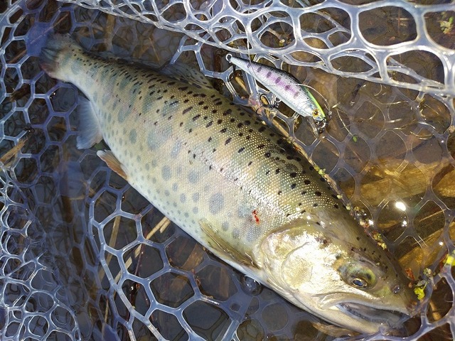 ヤマメ つり具の上州屋 - あなたのフィッシング＆アウトドアライフをサポート