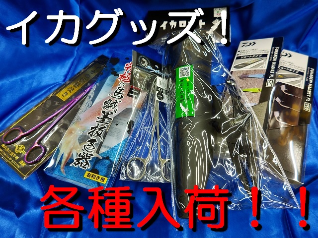 イカ商品 000000002116_4uEXjc6.jpg