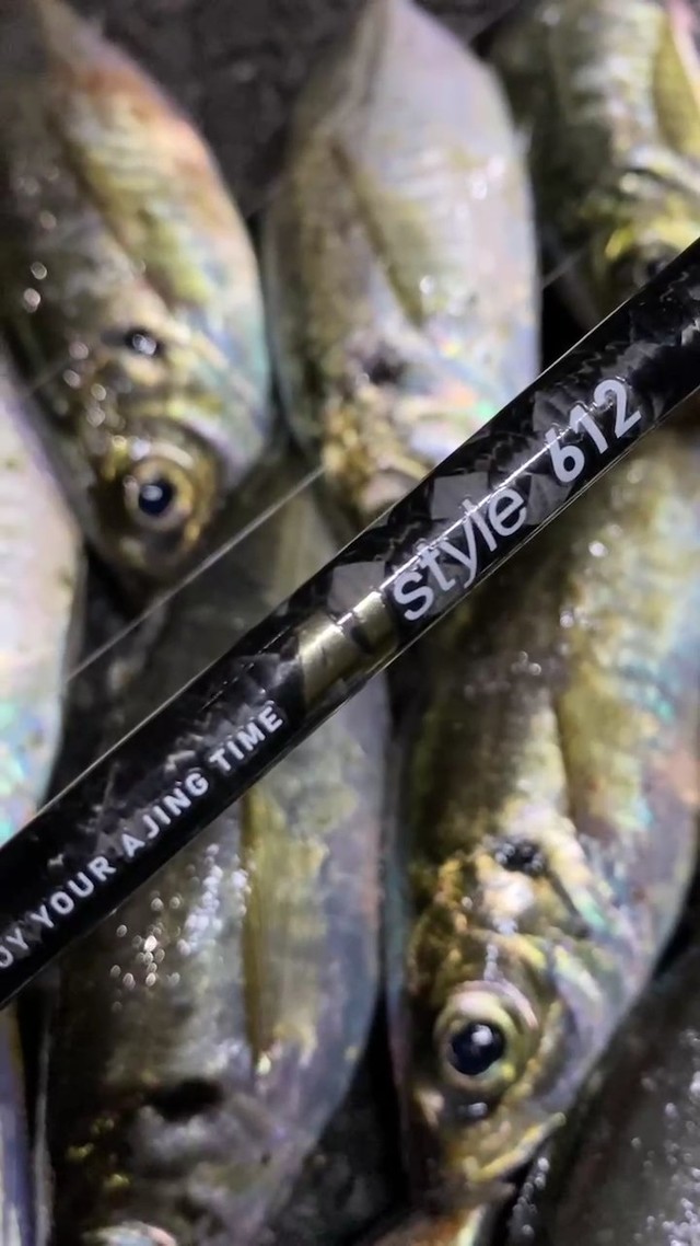 アジング まとめ売り つり具の上州屋 - あなたのフィッシング＆アウトドアライフを