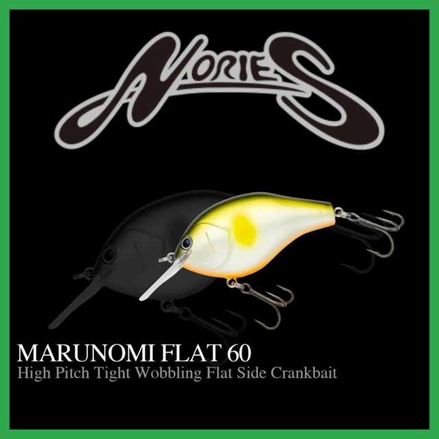 グラベルワギーとマルノミフラット NORIES ノリーズ MARUNOMI FLAT 60 マルノミフラット60