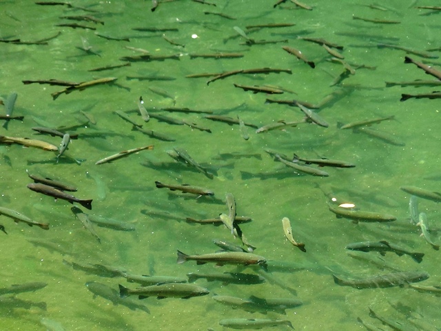 つり具の上州屋 - あなたのフィッシング＆アウトドアライフを