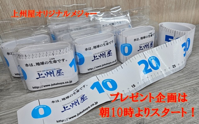 ダイワヤングフィッシングクラブ81年20号〜83年31号の12冊＋トランプ ダヤン トランプ | 秀和美術本店 わちふぃーるど 取扱店