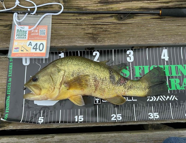 関口様が釣った40ｃｍ！
