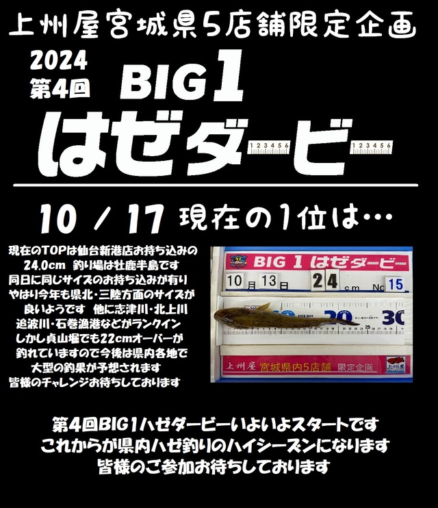 ALISIGWE SUNDAY　送料分 No.89431 Sun Rise ZIPパーカー / MARCHAL JAPAN OFFICIAL WEB STORE