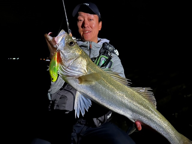 がま渓流　旭仙峰　530 Yahoo!オークション - がまかつ がま渓流 旭仙峰 硬硬調530 振出