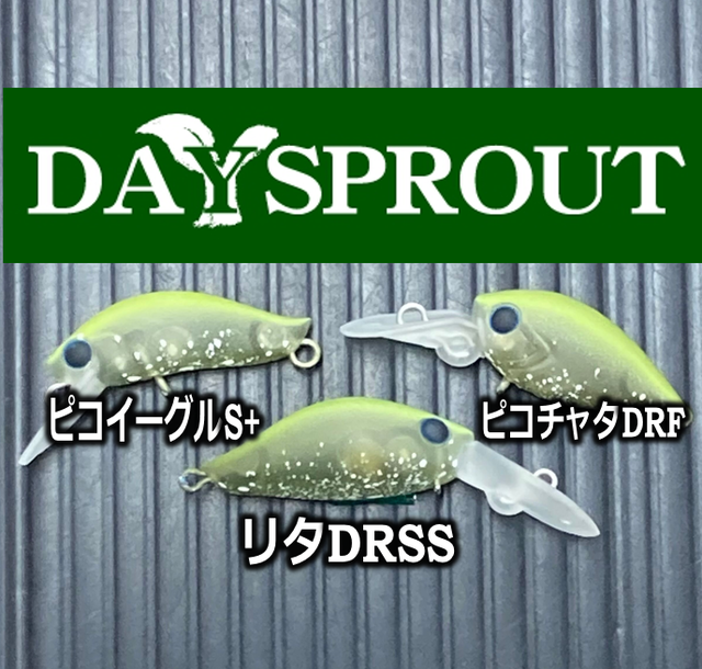 ウッサS デスメロン　キャンベル春日部オリカラ　まとめ売り ウッサS デスメロン キャンベル春日部オリカラ まとめ売り