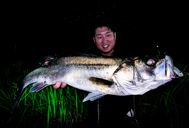 ジャンプライズ　ツーリミット　85フィネス TWO LIMIT 85 Finesse - JUMPRIZE 公式サイト