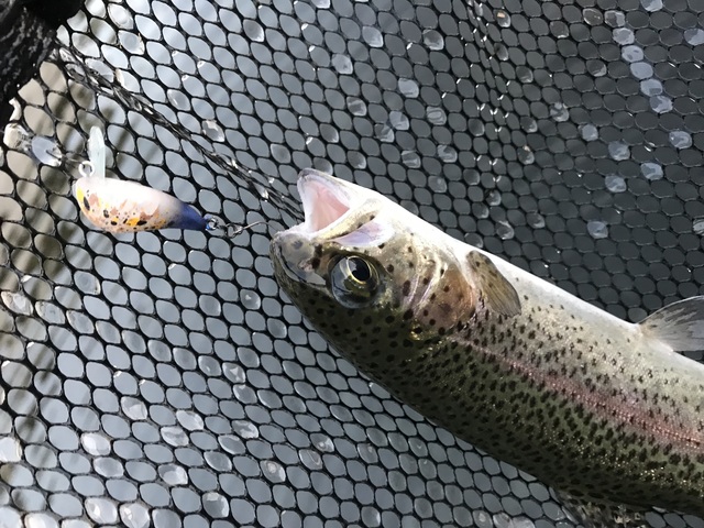 つり具の上州屋 - あなたのフィッシング＆アウトドアライフを