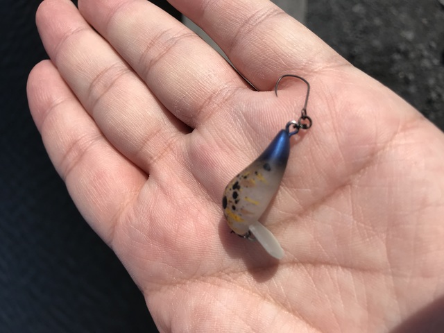 t*a様 リトルマッコウ　オリカラ FPBルアーズ リトルマッコウ SS マニアックスオリカラ 2個セット