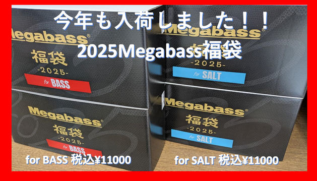 メガバス2025福袋　ソルト メガバス 2025 Megabass福袋 SALT SET【即日発送】: ソルト