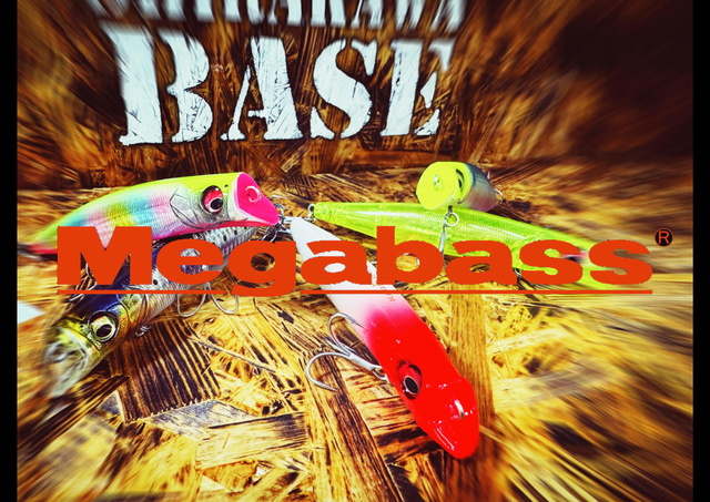 Daiwa V10.5 10.5尺 Amazon.co.jp: Daiwa : Sports & Outdoors
