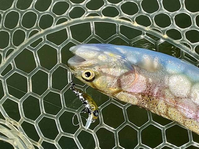 モカ　デスメロン つり具の上州屋 - あなたのフィッシング＆アウトドアライフを