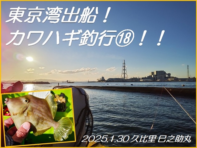 【初版】東京湾の釣り場　富津〜東京港〜久里浜/ひかりのくに ムツ六釣船店｜神奈川｜久里浜港