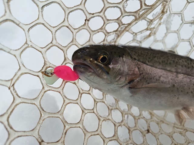 ナイアス