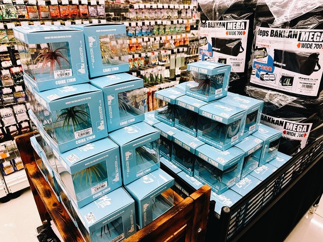 コイケ17mmソフトマテリアル　３ケ　バラ売り可能 つり具の上州屋 - あなたのフィッシング＆アウトドアライフを