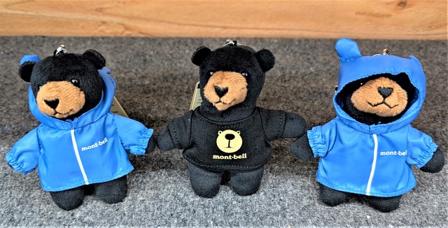 ロックショア アングラーさん予約品 ロックショア アングラーさん予約