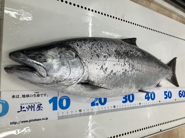 つり具の上州屋 - あなたのフィッシング＆アウトドアライフを