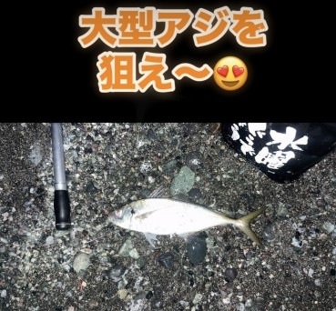 つり具の上州屋 - あなたのフィッシング&アウトドアライフを つり具の上州屋 - あなたのフィッシング&アウトドアライフを
