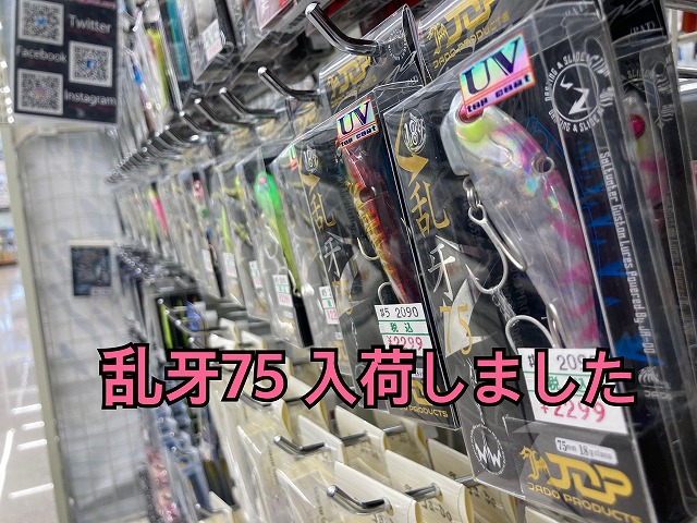 アジング まとめ売り つり具の上州屋 - あなたのフィッシング＆アウトドアライフを