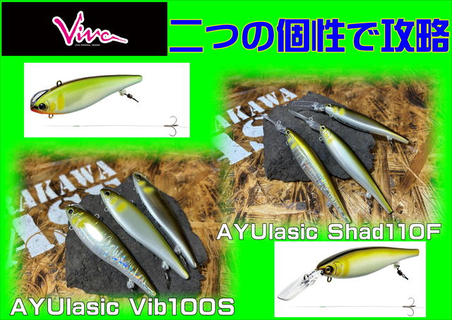 DAIWA - ワイルドビート アユ ワイルドビート アユ