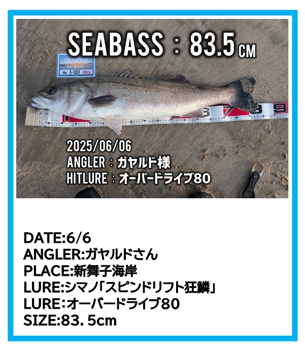 疾風 穂先 龍神限定品 ウルトラライトスペシャル 1本