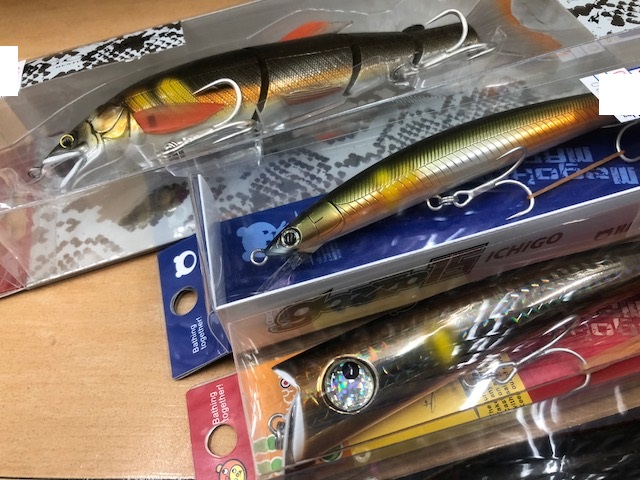 シーバス落ち鮎セット シーバス落ち鮎セット シーバス落ち鮎セット