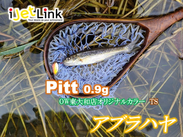 リバーブリーズ　#2/3 オイカワ リバーブリーズ #2/3 オイカワ