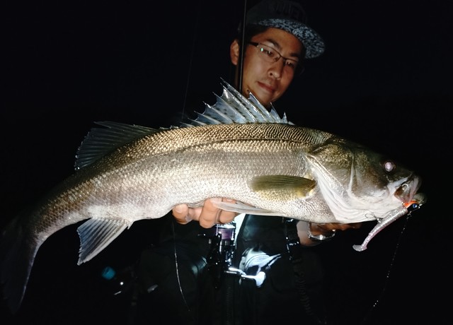 疾風　龍牙 疾風龍牙