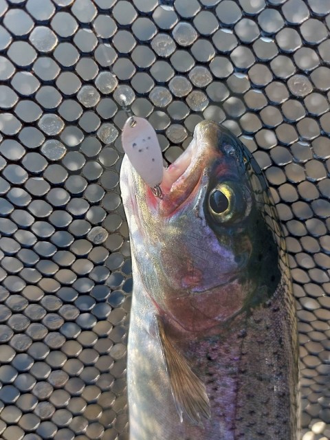 マイクロスプーンと言えば悩みは飛距離!それを解決するSAIGAはとっても飛びます!飛ぶマイクロってそれだけで有利です!