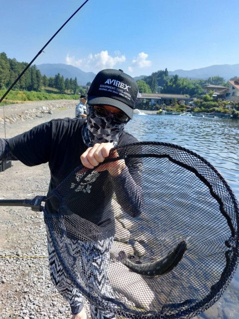 手を高く掲げなくて表層トレースが楽にできる!そしてとにかくテールを良く振るアクションは使いやすい!