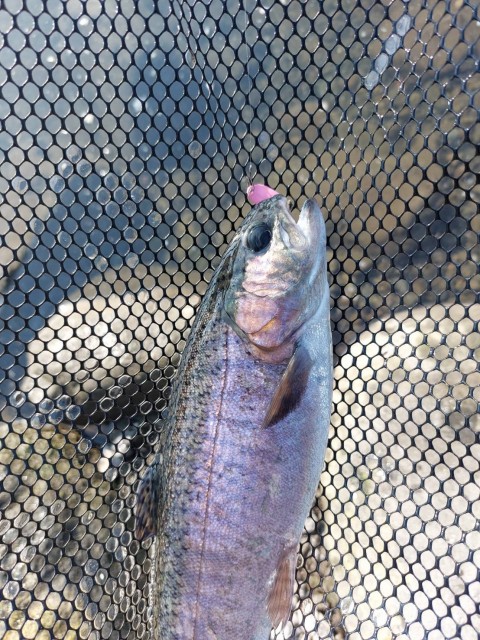 全カラー試せてとても勉強になりました。