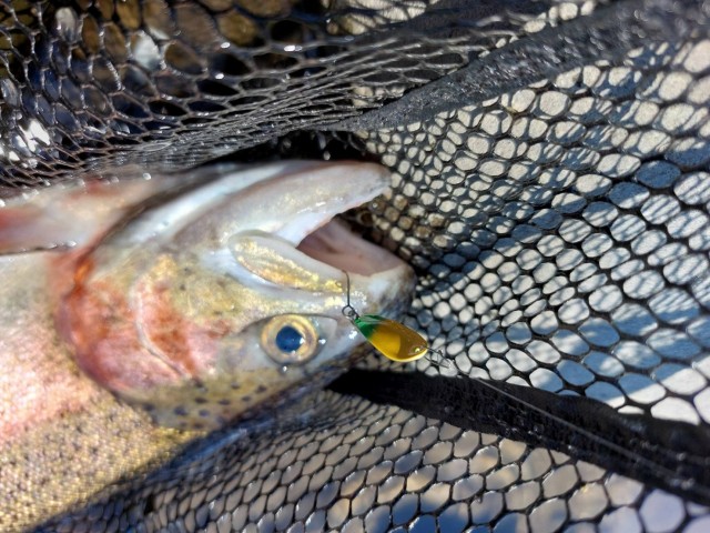 まったりした時間帯にスイッチ入れたカラーは「わっふぉい」だっけな~なんだかテンション上がる名前でした!目の前で連発されたこのカラーは発売されたら絶対買います!