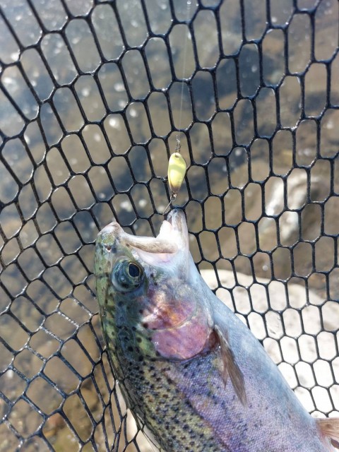 どんどん変わる状況にカラーを合わせていく!ヒットした時の楽しさって良いですよね(^^)