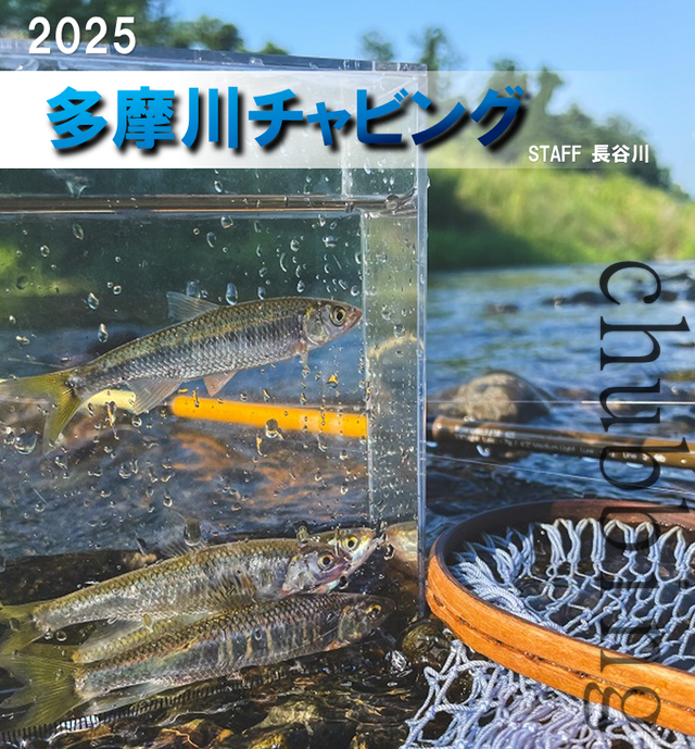 パームス　オフショア用 imgrc0070359905.jpg