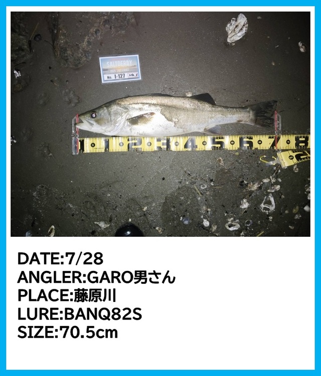クリーク エルザ #8 2024福島フィッシングフェスタ限定穂先 ２本セット売り つり具の上州屋 - あなたのフィッシング＆アウトドアライフを