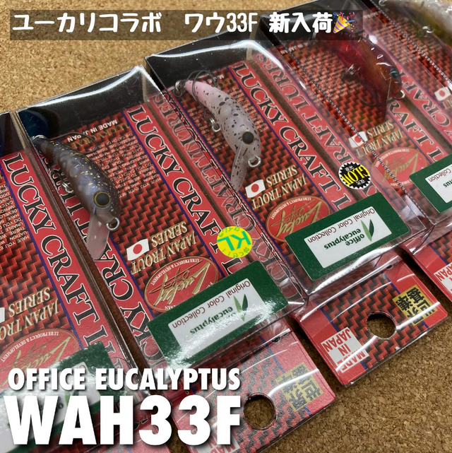 磯玉網シーロード 71uluJC2poL._UF350,350_QL50_.jpg