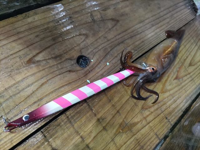 烏賊ジグ エボII 130g 3本 烏賊ジグ エボII 130g 3本 つり具の上州屋 - あなたのフィッシング＆
