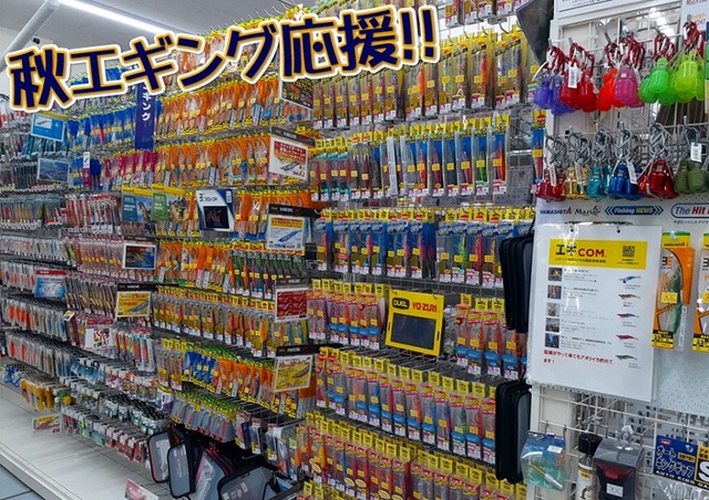 本日限定特価　①エギ色々まとめ売り22本 本日限定特価 ①エギ色々まとめ売り22本 エギまとめ売り❗️ 2025年