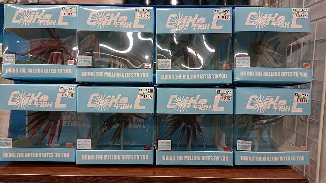 コイケフィッシュL セット ハイドアップ コイケフィッシュ L COIKE FISH L 2個セット SW