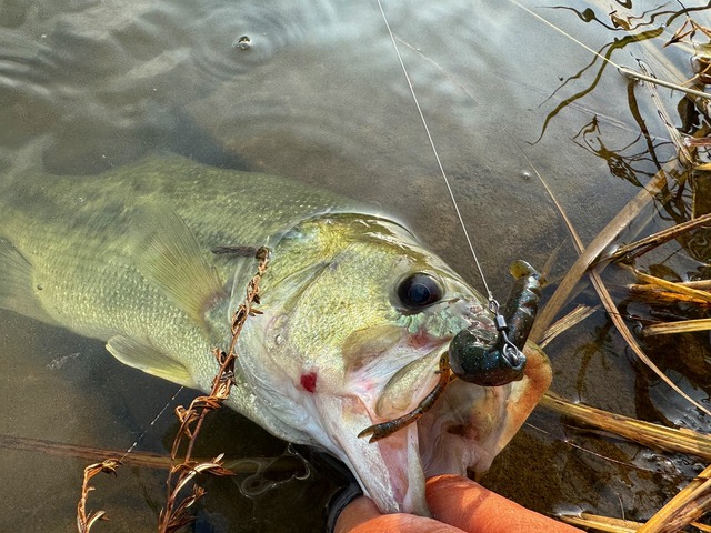 つり具の上州屋 - あなたのフィッシング＆アウトドアライフを