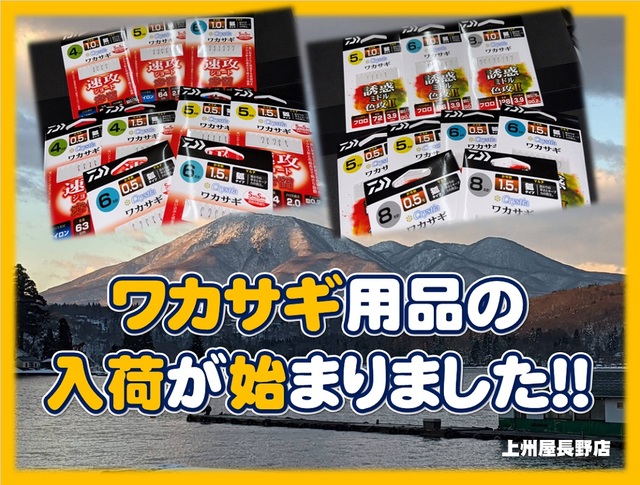 Creek ERUZA #8 限定色　2本セット CREEK エルザ8 限定色 クリーク エルザ 8 Creek ERUZA#8 つり具